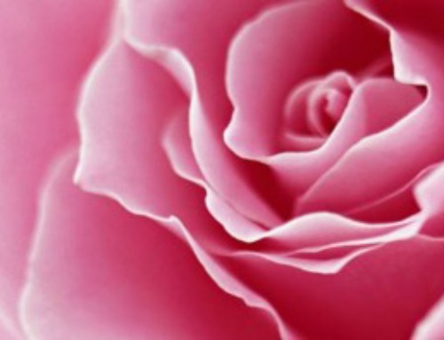 There is no rose by Don Macdonald – Corale Zumellese dir. Manolo Da Rold